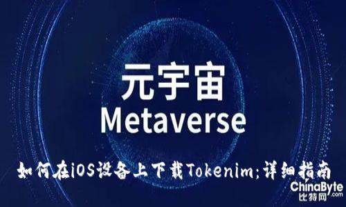 如何在iOS设备上下载Tokenim：详细指南