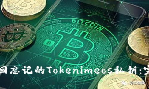 如何找回忘记的Tokenimeos私钥：完整指南