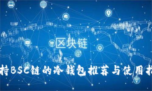 支持BSC链的冷钱包推荐与使用指南